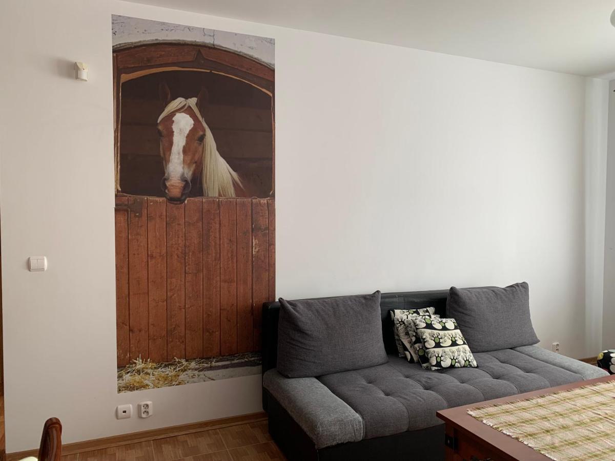 Zawsze Sloneczny Apartament Grzybowo Grzybowo  Exterior photo
